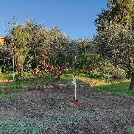 Apartamento Studio 25M2 Avec Piscine Et Spa, Proche Iter Et Cadarache Valensole Exterior foto